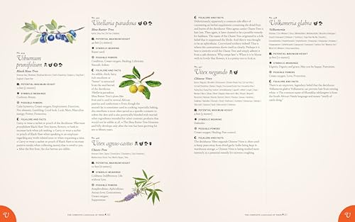 Image of The Complete Language of Trees - Pocket Edition: A Definitive and Illustrated History