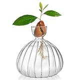 Cididu Avocado Seed Sprout Starter Vase Planter Pot, Avocado Tree Growing Vase Glass Container, Clear Striped Glass Propagation Jars for Hydroponics Plants Home Office Decoration