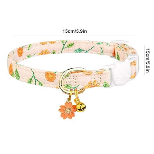 Collier de chat de boucle de sécurité pour les aventures en plein air