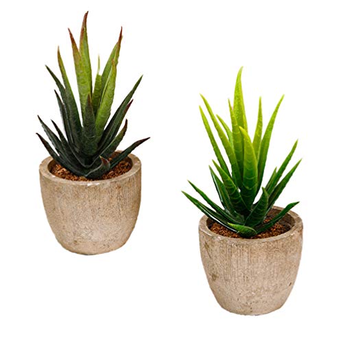 VOSAREA 2 peças de plantas suculentas artificiais Aloe em vaso de flores cafeteria decoração escolar