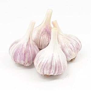 Gourmet Chesnok Red Garlic Bulbs Ha...