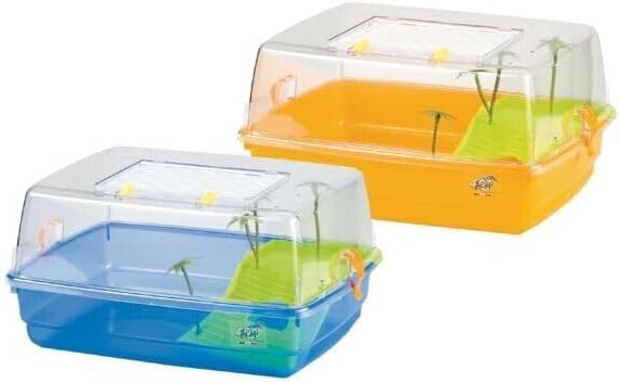 DESCRIZIONE DELL'IMMAGINE