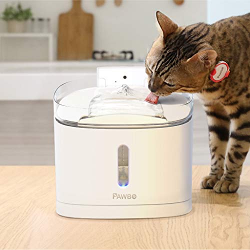 Pawbo Spring: Smart pet drinking water fountain, filter, app and wifi camera, for multiple cat & dog