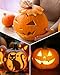 Luditek Halloween Pumpkin Carving Tools, Halloween Jack-O-Lanterns 11 Piece Professional Stainless Steel Pumpkin Carving Kit, Pumpkin Cutting Supplies Tools Kit for Adults Kids