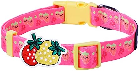 strawberry dog collar