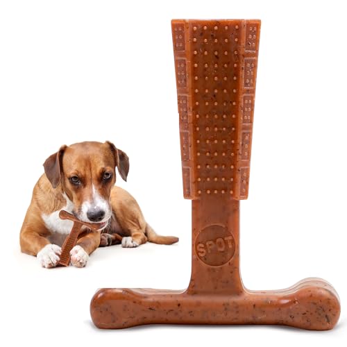 Best Hard Bones for Dogs Keep Your Pup Happy and Healthy with These