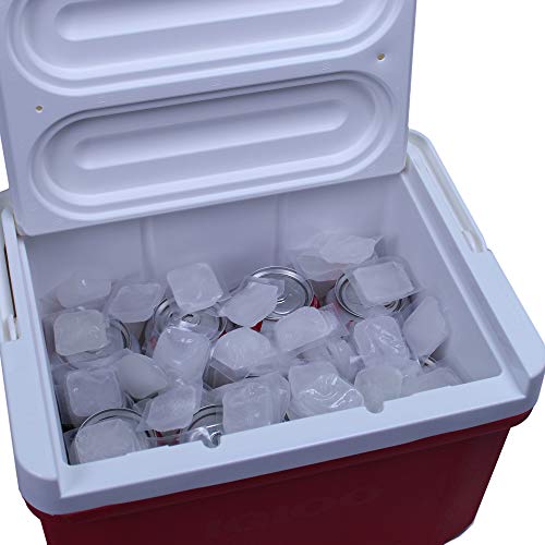 Cubos de Hielo Reutilizables FlexiFreeze 5 lb miniatura 3