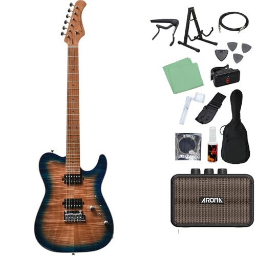 Bacchus TAC24 FMH-RSM/M N-BL-B エレキギター初心者14点セット 【充電式ミニアンプ付き】 テレキャスタイプ ユニバースシリーズ バッカス