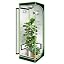 Grow Tent