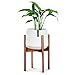 Fox & Fern Mid Century Plant Stand — 10 Inch Fixed Size Wooden Plant Stand for Indoor Planters (Not Included) - Raised Flower Pot Holder for Indoors - Plug In Design - Two Height Options - Acacia