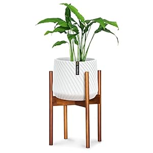 Fox & Fern Moderne plantenstandaard, kersenhout, zonder keramische plantenpot, wit, modern, acacia