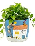 Afigurna New Home Gift Ideas: Home Sweet Home Plant Gift for Plant Lover - 5.3in Hand-Painted 3D Art Planter - Gardening House Warming Gift for New Apartment Christmas