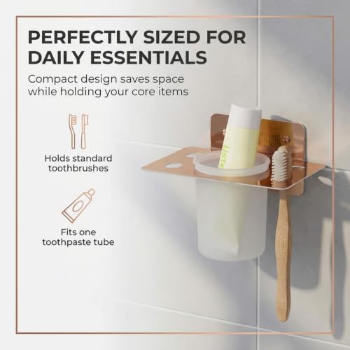 Image of Plantex (Primax) Stainless Steel Tumbler Holder /Tooth Brush Holder /Stand for Bathroom /Bathroom Accessories - Wall Mount (Rose Gold)