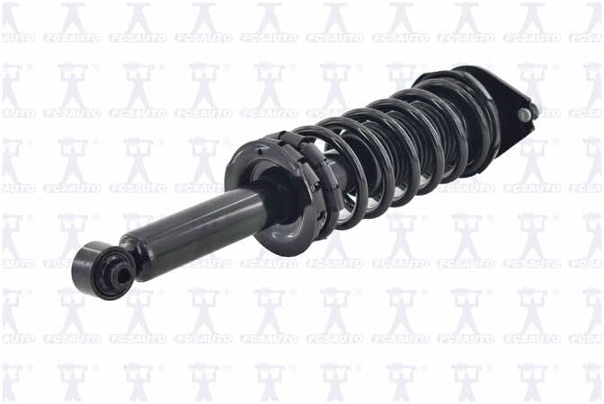FCS Complete Strut Assembly