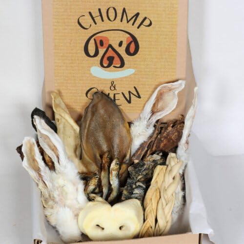 CHOMP & CHEW