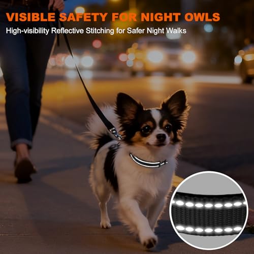 Image of Taglory Reflective Dog Collar for Puppies, Gentle and Safe for Night Walks