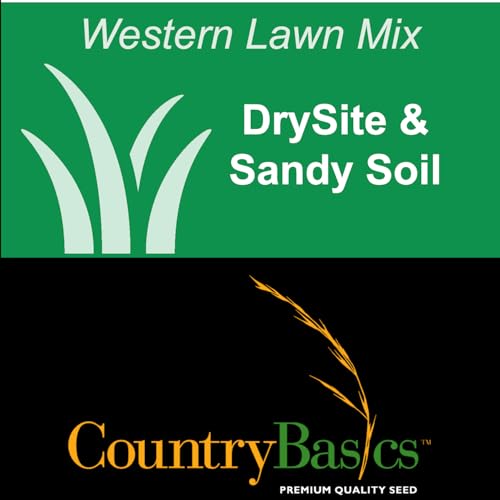 Grass Seed Blends For Sandy Soil And Beach Properties