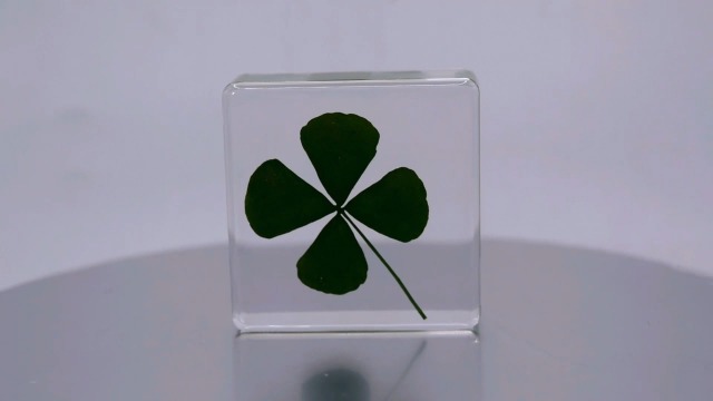 Image of 38mm Real Four Leaf Clover Shamrock in Crystal Clear Lucite Resin Specimen St.Patrick's Day inchLucky Leaf inch Gift Crafts Collection for Botany Science Education & Desk Ornament Display Small Paperweight