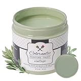 Colorantic | SAGE Chalk Paint Based for Furniture DIY - Multi-Surface Craft Paint | SOFT LIGHT GREEN Home Decor Painting (8 oz, Sage)