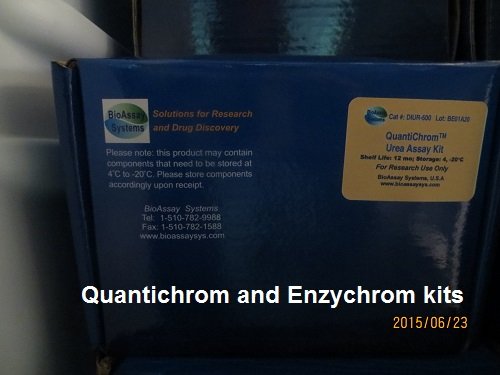 Quantichrom Creatinine Assay Kit
