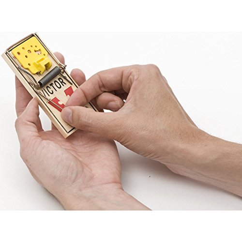 Image of VICTOR Easy Set Mouse Trap - 2Pk (Pack of 2)