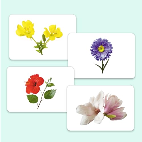 Image of Hungry Brain Flowers Flash Cards for Toddlers & Kids | Montessori Early Learning Cards for Babies | Educational Toy for Ages 3 Months to 6 Years | Fun Preschool Activity & Gift