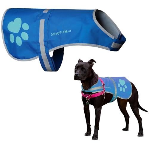 Must Have Dog Training Tools