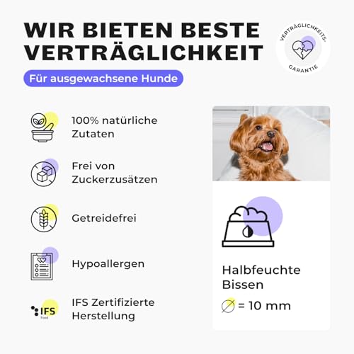 HEY HOLY Hundefutter Soft für Minis 100% getreidefrei | Softfutter | 2.5 kg weiches Trockenfutter für ausgewachsene Minis mit Forelle | Hochverträglich aus natürlichen Zutaten