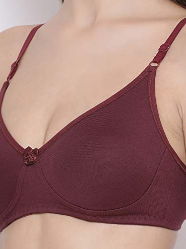Image of Lyra Women's Cotton Non Padded Wire Free T Shirt Bra