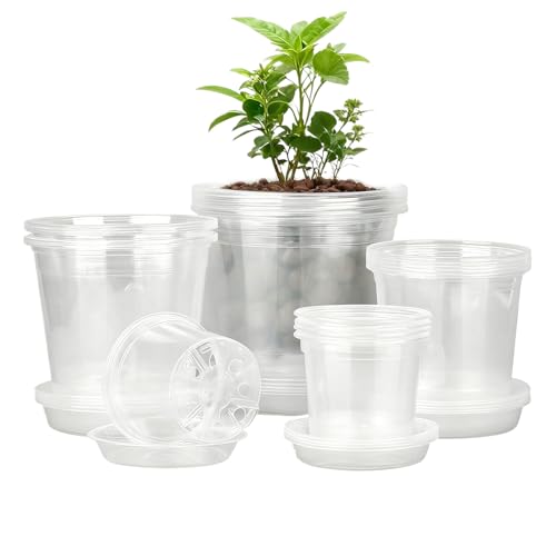 Macetas de vivero con agujeros de drenaje eficientes y platillos anti-goteo x20 2