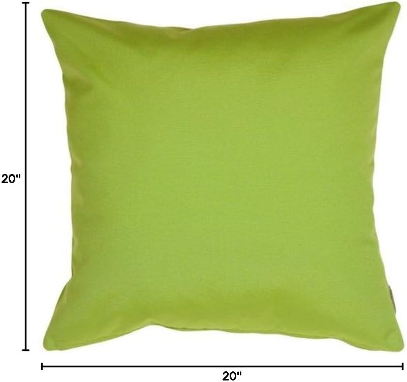 Pillow Decor Sunbrella Indoor Outdoor Throw Pillow, Macaw Green, 20"x20" (Set of 2) - Inserts Included