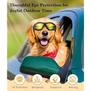 Dog Goggles Medium Large Breed, UV Protection Dog Sunglasses with Sponge Pad and Adjustable Strap, Windproof Dustproof Anti-Fog Dog Eye Protection Glasses for Outdoor Driving Riding, Black Dog Goggles Medium Large Breed, UV Protection Dog Sunglasses with Sponge Pad and Adjustable Strap, Windproof Dustproof Anti-Fog Dog Eye Protection Glasses for Outdoor Driving Riding, Black