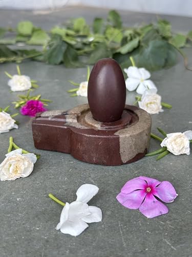 Image of Shivam VASTU AKAL 1.5 inch Original Narmadeshwar Narmada Shivling with 3 inch Narmada Stone Yoni Base Jaladhari (Swayambhu Shivling, Multicolor Flate Jaladhari)