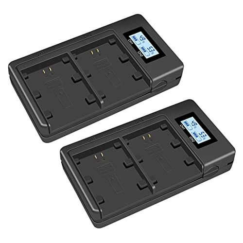 Chargeur de batterie NP-FZ100 double avec 2 blocs FZ100 pour Sony Alpha A9 A7RIII A7III