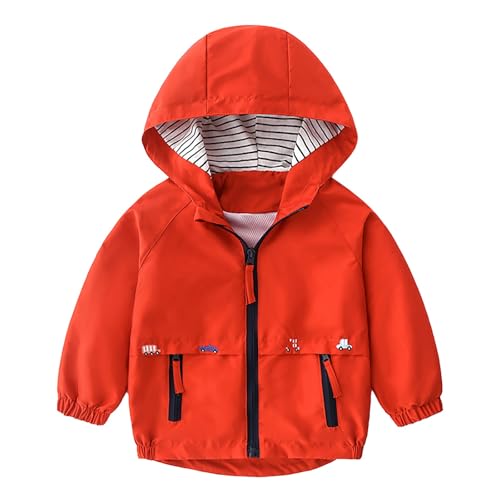 Baby Kids Windbreaker Jacket Zipper Lightweight Rainproof Hooded Jacket Toddler Girl Boy Cute Cartoon Graphic Outerwear