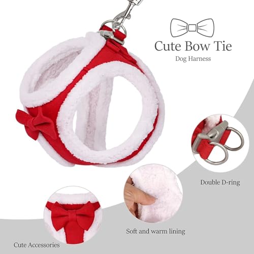 Harnais anti-traction pour petit chien frissonnant en hiver - 6