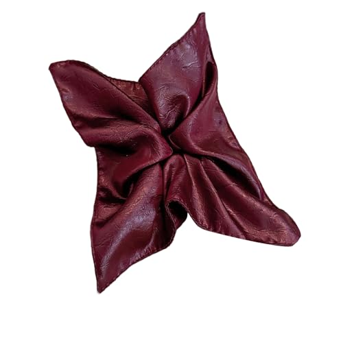 U[wA[vqNX}XO@\lN^C̒ʋ΂Cxg̏̃t@bVwAANZT[