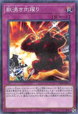 遊戯王 日本選手権 プロモ 遊戯王 日本選手権 店舗予選 プロモ