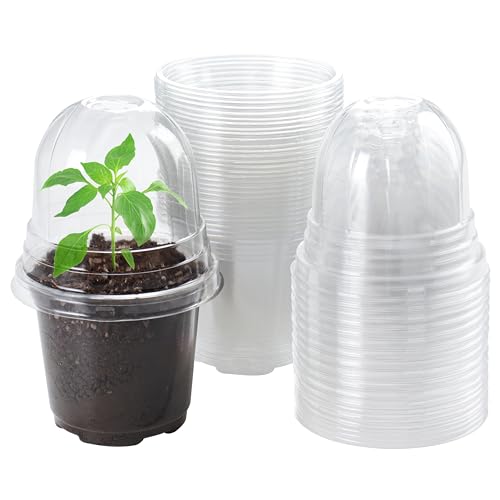 Bluepro 30 Packs 4 Inch Reinforced Clear Nursery Pots with Humidity Dome, Transparent Plastic Plant Pot Seedling Planter with Drainage Holes for Vegetable Propagation, Root Cutting, Seed Starting