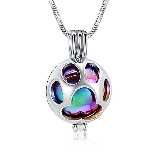 Oinsi Pet Cremation Jewelry For Ashes Urn Necklace For Dog Ashes Holder Paw Locket Keepsake Memorial Pendant Best Friends Women Men (Silver With Rainbow) #TOP21