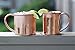 Alchemade 100% Copper 16 ounce Mug for Moscow Mules - Seamlessly handmade, tarnish free with food safe lacquer, Includes a FREE E-Recipe book
