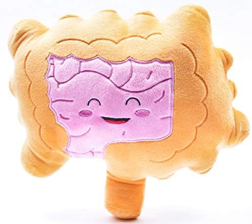 nerdbugs Intestine Plush- Intestined for Greatness-Colon/Intestine Plush Organ Toy for IBS, Colitis, Crohns and GI Support Plush/Health Education Gift/Surgery Gift/Gastroenterology get Well Gift