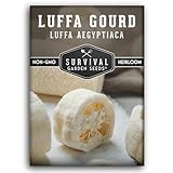 Survival Garden Seeds - Luffa or Loofah Seed for Planting - 1 Packet with Instructions to Plant and Grow Ornamental Gourds in Your Home Vegetable Garden - Non-GMO Heirloom Variety