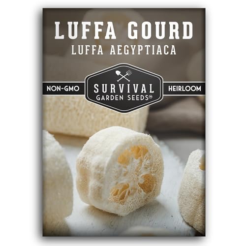 Survival Garden Seeds - Luffa or Loofah Seed for Planting