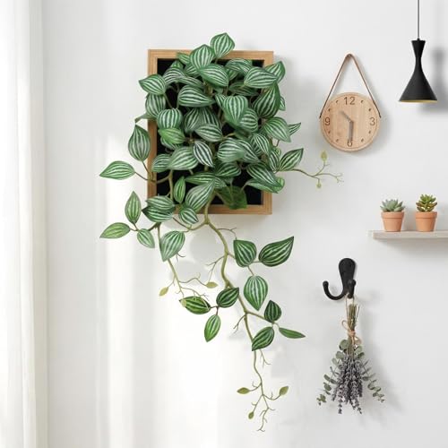 VerdantCharm Tableau Végétal Feuilles de Pépéromia, Cadre Naturel 30x48cm – Décoration Murale Artificielle Salon, Bureau, Chambre – Plante...