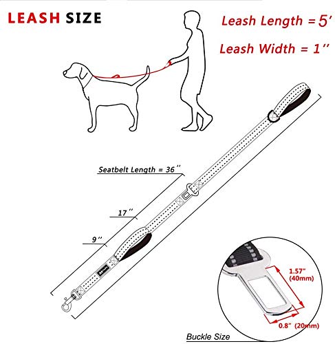 PoyPet coleira para cães de 1,8 m – 3M reflexiva – 2 alças acolchoadas – cinto de segurança funciona