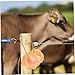 COLLBATH 2kg Creative Livestock Salt Licking Brick Goats Cows Deer Mineral Block