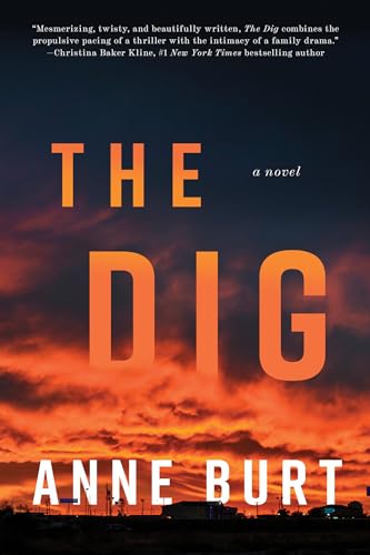 The Dig: A Novel view 2