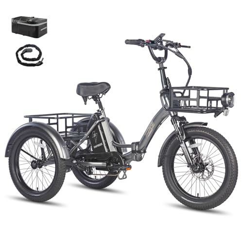Fafrees Dreirad e Bike F20 Mate, Upgrade E-Bike 3 Rad 48V 20Ah Akku, E Bike Klapprad 20 * 3.0 Zoll, 65N.m Elektro Dreirad Lasten für Erwachsene (Vorderkorb, grau)