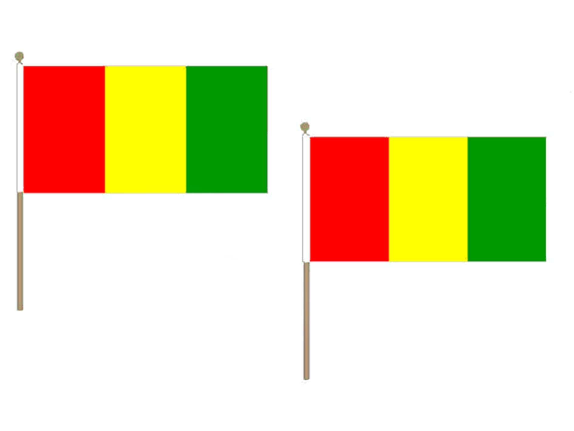 Drapeau guinéen 30 x 45 cm avec support bois pour célébrations culturelles et fêtes - Lot de 10